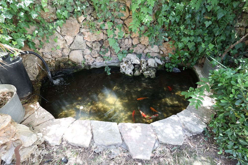 מהסמארטפון שלי